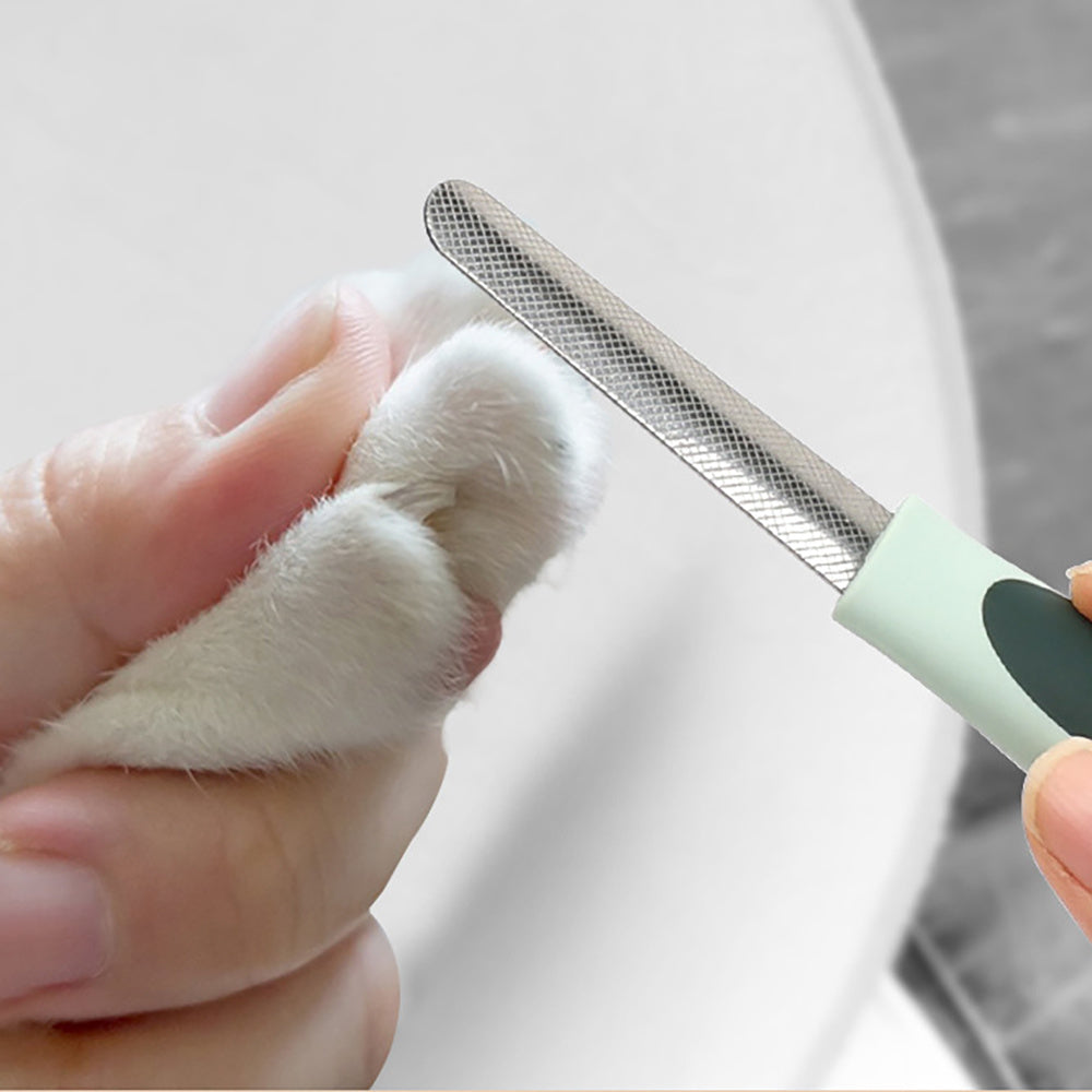 Professional Grooming Kit