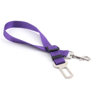 Dog seat belt