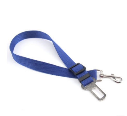 Dog seat belt