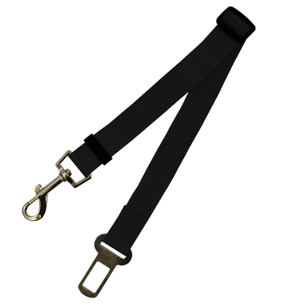 Dog seat belt