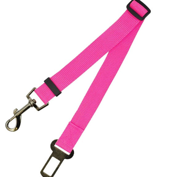 Dog seat belt