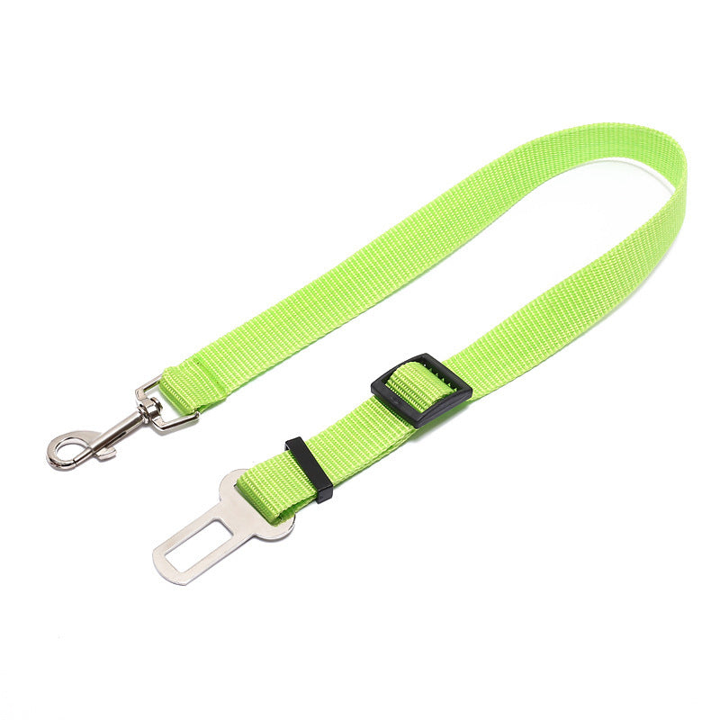 Dog seat belt