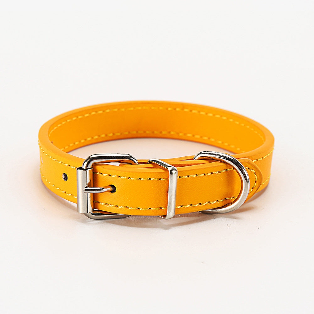 Collar for dog and cat