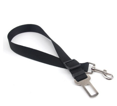 Dog seat belt
