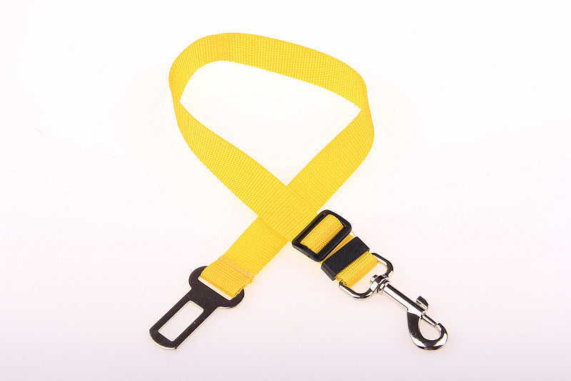 Dog seat belt