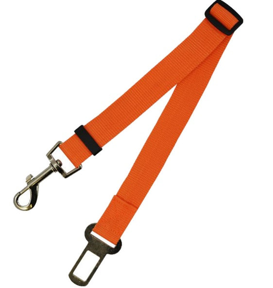 Dog seat belt