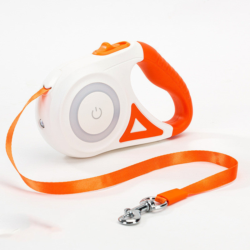 Dog leash with LED light 