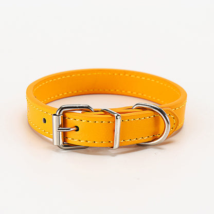 Collar for dog and cat 