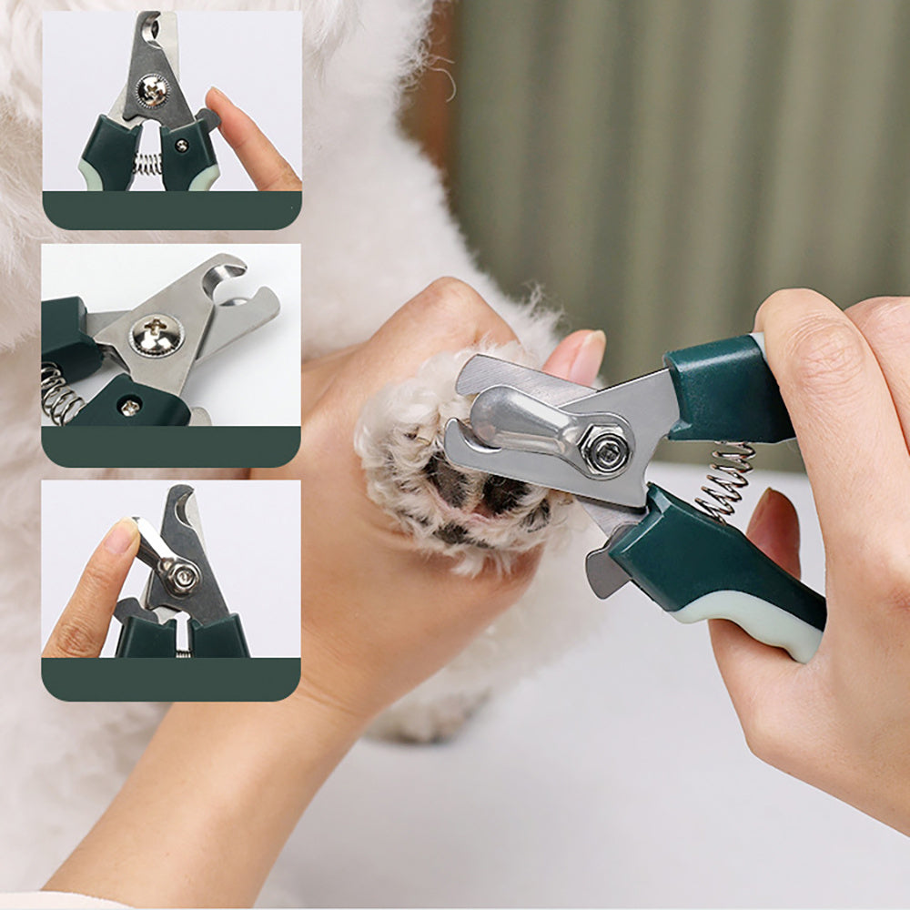 Professional Grooming Kit